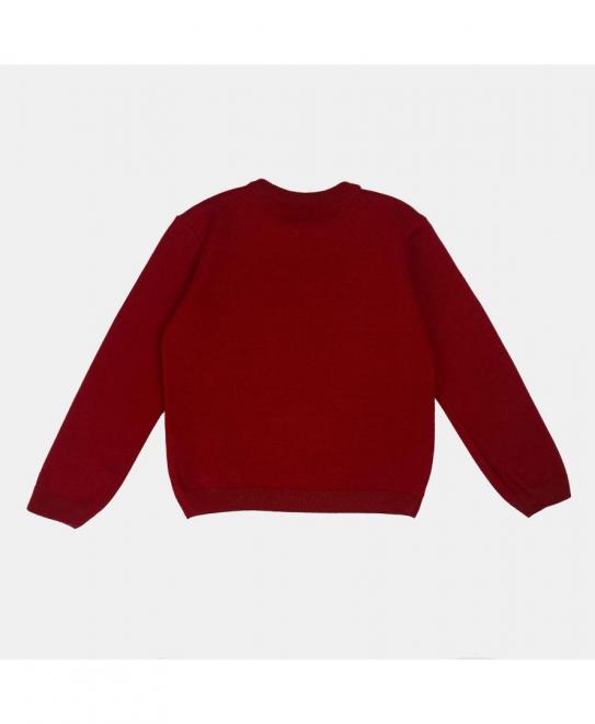 Джемпер дитячий Пiнгвiн