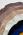 Костюм женский футболка с юбкой горчично-изумрудный Костюм женский футболка с юбкой горчично-изумрудный