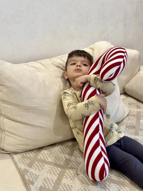 Декоративна подушка Тростина