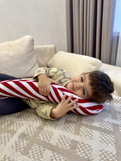 Декоративна подушка Тростина