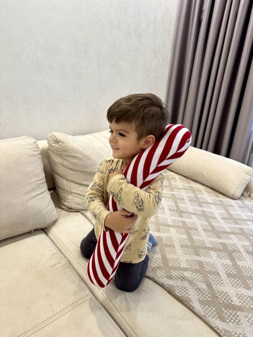 Декоративна подушка Тростина