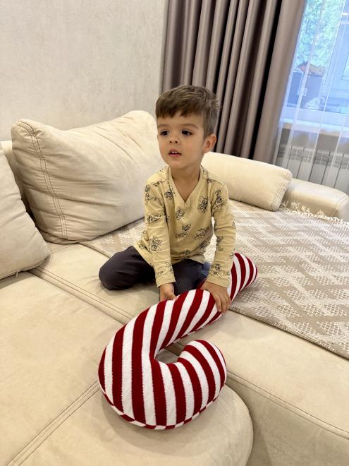 Декоративна подушка Тростина