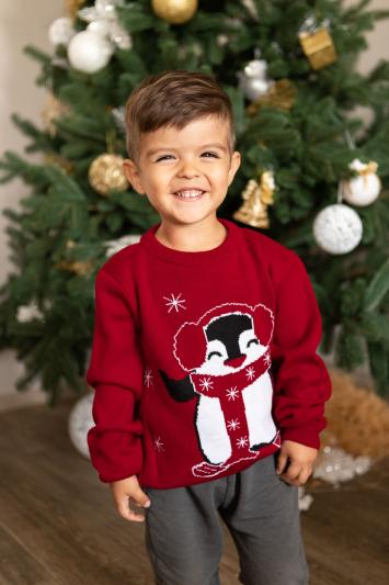 Джемпер дитячий Пiнгвiн Джемпер дитячий Пiнгвiн